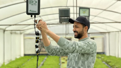 خدمات زراعية ذكية في مصر