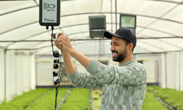 خدمات زراعية ذكية في مصر